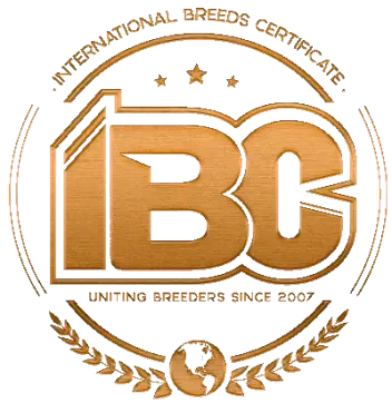 IBC Pedex Logo