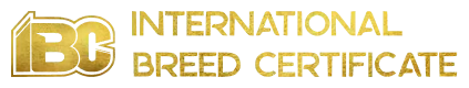 Logo Horizontal IBC Pedex