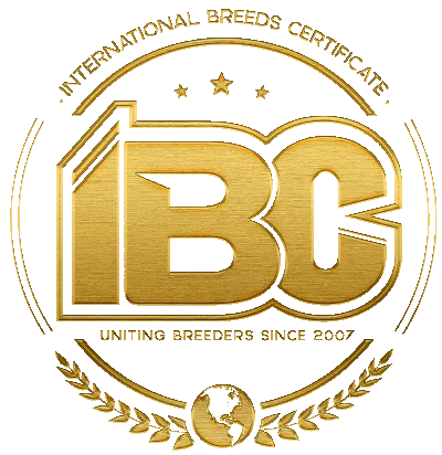 IBC Pedex Logo