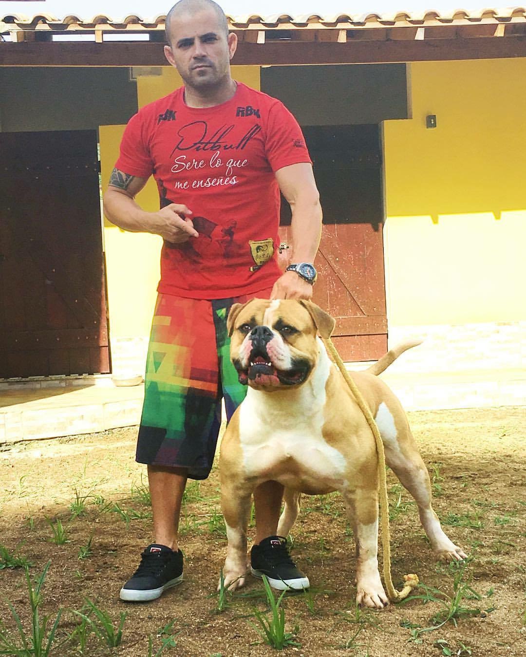 Sunshinebulls Iron