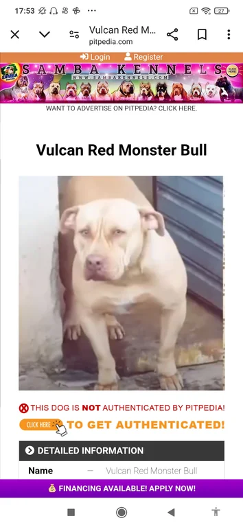VULCAN RED MONSTER BULL
