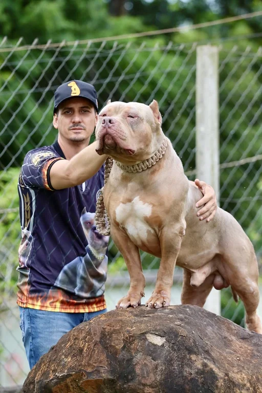 KF KENNEL EFEZUS